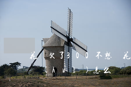 花唄欠了300不想還(花唄欠了300不還會(huì)怎么樣?)