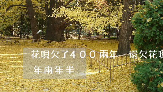 花唄欠了400兩年沒還(欠花唄4000元年兩年半)