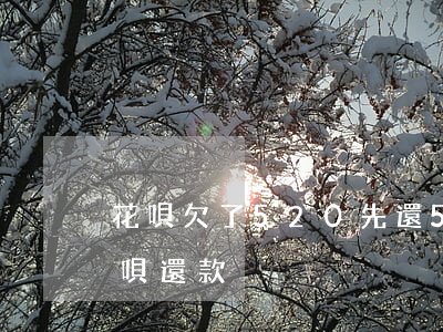 花唄欠了520先還52可以嗎-520花唄還款
