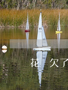 花唄欠了600沒還(花唄500沒還)