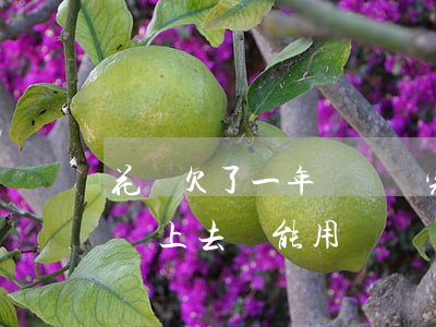 花唄欠了一年沒還還完能用嗎(花唄半年沒還,還上去還能用嗎)