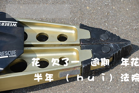 花唄欠了一萬逾期兩年(花唄欠款2萬多逾期半年會(huì)法院起訴嗎)