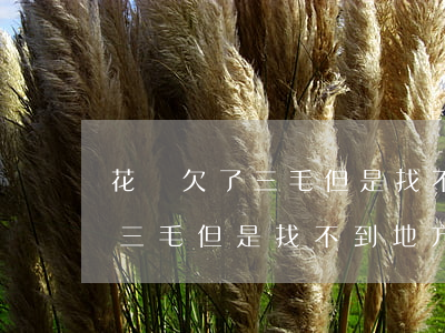 花唄欠了三毛但是找不到地方還-花唄欠了三毛但是找不到地方還怎么辦