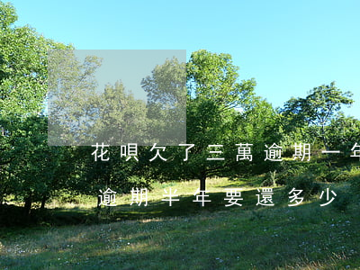花唄欠了三萬逾期一年(支付寶花唄3000逾期半年要還多少)