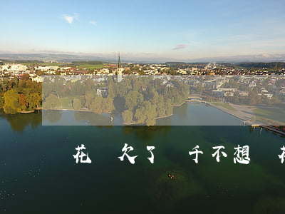 花唄欠了兩千不想還(花唄兩千還不上怎么辦)