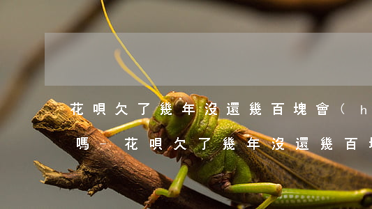 花唄欠了幾年沒還幾百塊會(huì)坐牢嗎-花唄欠了幾年沒還幾百塊會(huì)坐牢嗎知乎