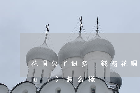 花唄欠了很多沒錢還(花唄欠錢不還清會(huì)怎么樣)