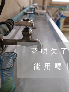 花唄欠了錢(qián)分期樂(lè)還能用嗎(花唄沒(méi)還完分期樂(lè)能用嗎)