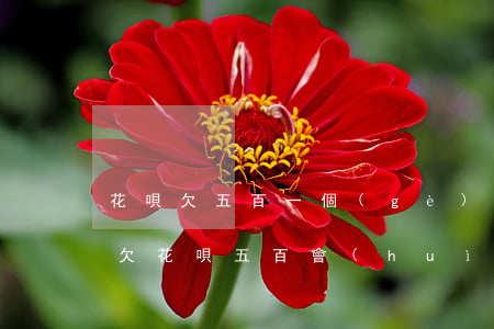 花唄欠五百一個(gè)月沒(méi)還(欠花唄五百會(huì)怎么樣)