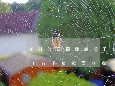 花唄欠五百塊逾期了七天(花唄逾期兩年多,欠了五千多說要立案)