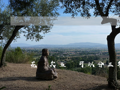 花唄欠五萬可以分三年還嗎(花唄五萬多兩年沒還)