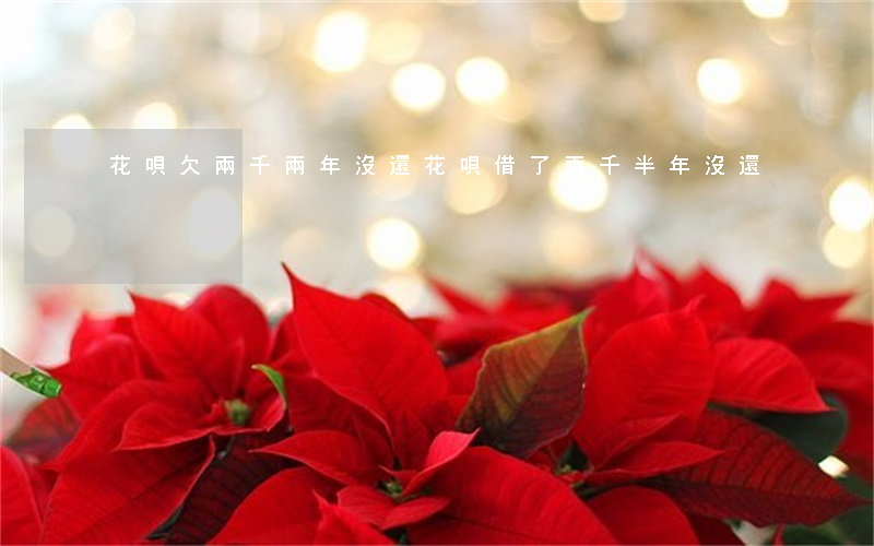 花唄欠兩千兩年沒還(花唄借了兩千半年沒還)