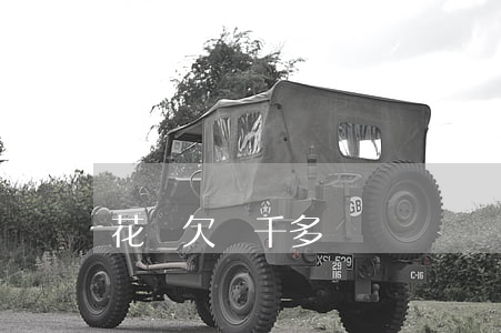花唄欠兩千多沒還