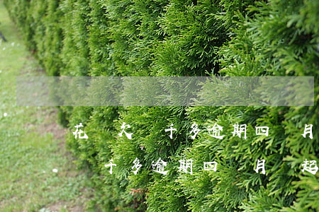 花唄欠兩千多逾期四個月會起訴不-花唄欠兩千多逾期四個月會起訴不還嗎
