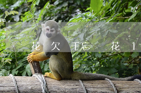 花唄欠兩千忘記還(花唄100多忘記還了)