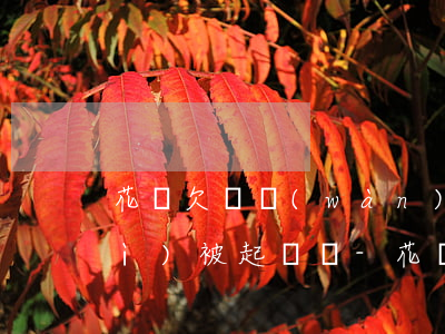 花唄欠兩萬(wàn)逾期五千多會(huì)被起訴嗎-花唄欠兩萬(wàn)逾期五千多會(huì)被起訴嗎知乎
