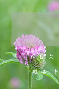 花唄欠兩萬逾期會(huì)怎樣(借唄花唄逾期半年了,欠款2萬多會(huì)起訴我嗎)