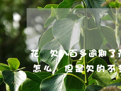 花唄欠八百多逾期了(花唄800逾期八個月怎么辦,但是欠的不多)