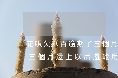 花唄欠八百逾期了三個月(花唄欠八百逾期了三個月,還上以后還能用么)
