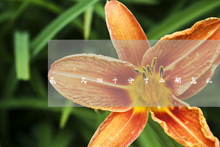花唄欠四千分十二期怎么賺錢還-