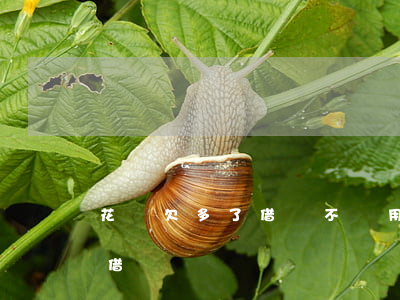 花唄欠多了借唄不給用(為什么不能用花唄還借唄)