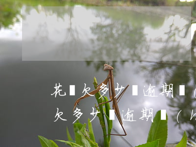 花唄欠多少錢逾期會(huì)被起訴(花唄欠多少錢逾期會(huì)被起訴)