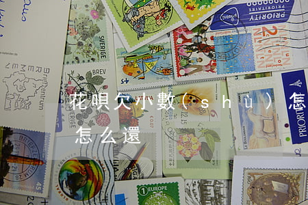 花唄欠小數(shù)怎么還(支付寶欠花唄怎么還)