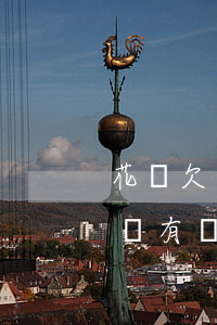 花唄欠幾十塊錢三年沒還(花唄欠幾塊錢幾年沒有還了會怎么樣)