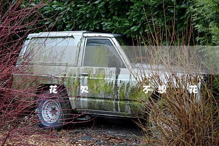 花唄欠幾塊錢不想還(花唄幾塊錢不還會怎么樣)