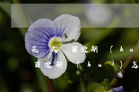 花唄欠幾百逾期會(huì)怎樣(花唄欠幾百逾期會(huì)怎樣)