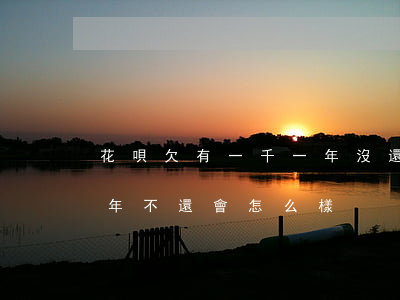 花唄欠有一千一年沒還(花唄如果欠兩千塊半年不還會怎么樣)