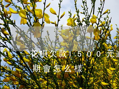 花唄欠款1500元逾期(花唄欠2000逾期會怎么樣)