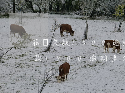 花唄欠款1500逾期多久上征信-花唄欠款1500逾期多久上征信啊