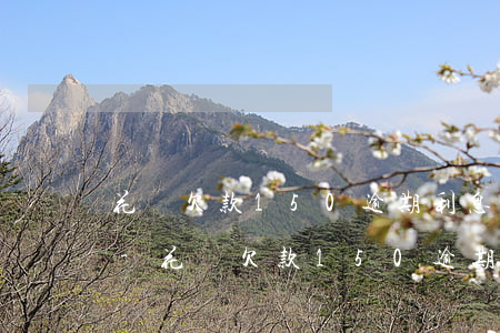 花唄欠款150逾期利息計(jì)算公式-花唄欠款150逾期利息計(jì)算公式是什么