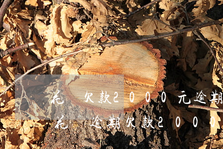 花唄欠款2000元逾期多長時間會被起訴（花唄逾期欠款2000元）
