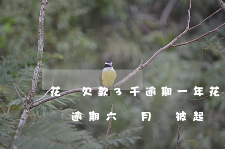花唄欠款3千逾期一年(花唄逾期3000塊錢逾期六個月會被起訴嗎)