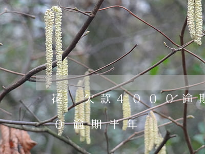 花唄欠款4000逾期半年(花唄欠款4000逾期半年)