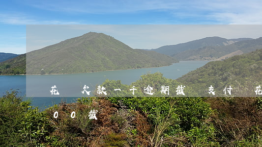 花唄欠款一千逾期截圖(支付寶花唄欠款1000截圖)