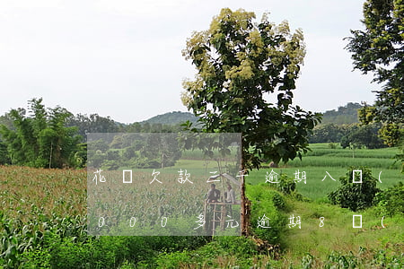 花唄欠款三千逾期八個(gè)月(欠花唄3000多元逾期8個(gè)月會(huì)上門嗎?)
