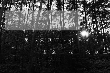 花唄欠款三萬(wàn)逾期沒(méi)錢還怎么辦(花唄欠款三萬(wàn)逾期沒(méi)錢還怎么辦)