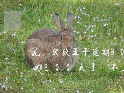 花唄欠款五千逾期300天(花唄欠款五千逾期200天了,還不上后果)