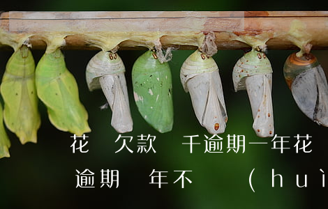 花唄欠款兩千逾期一年(花唄欠款1000元逾期兩年不還會(huì)怎樣?)