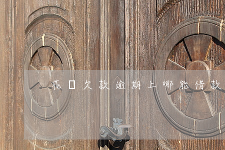 花唄欠款逾期上哪能借款