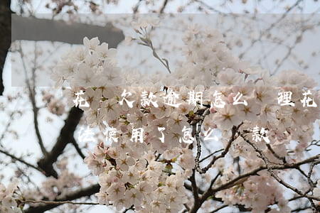 花唄欠款逾期怎么處理(花唄顯示逾期,花唄無法使用了,怎么還款)