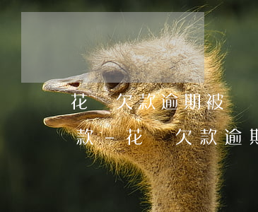 花唄欠款逾期被凍結(jié)怎樣才能還款-花唄欠款逾期被凍結(jié)怎樣才能還款呢