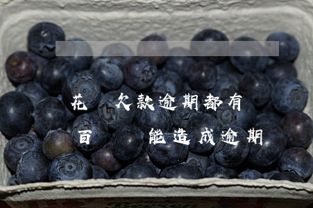 花唄欠款逾期都有還幾塊錢(支付寶花唄欠幾百塊錢能造成逾期嗎?)