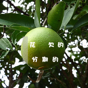 花唄欠的錢(qián)分期還(怎么還花唄分期的錢(qián))