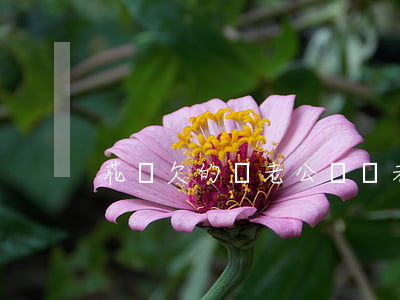 花唄欠的錢老公還(幫老公還花唄怎么還)
