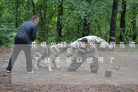 花唄欠錢但是沒逾期 花唄沒有逾期過,但是還了就不可以使用了
