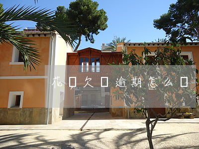 花唄欠錢逾期怎么還